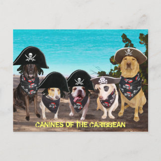 Funny Dogs reden wie ein Piratentag Postkarten