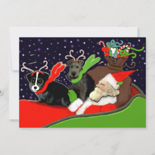 Funny Dogs Weihnachten