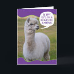 Funny Dolly Llama Birthday Wisdom Karte<br><div class="desc">Genau wie der Dalai Lama hat auch dieser Dolly Lama seine eigene Philosophie über Leben und Weisheit, die sie mit der Welt zu teilen will. Sie ist nicht nur klug, sie ist auch niedlich. Spaß Geburtstagskarte für jeden, der nicht begeistert ist, älter zu werden.</div>