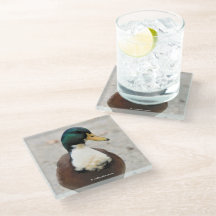 Funny Domestic Mallard Duclair Bibbed Odd Duck