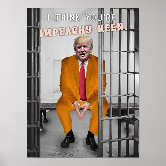 Funny Donald Trump Gefangennahme Spaß im Gefängnis Poster (Vorne)