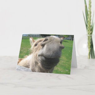 Funny Donkey Nah hoch Karte