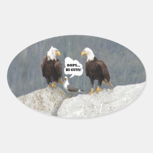 Funny Eagles und Seagull Ovaler Aufkleber