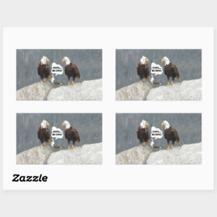 Funny Eagles und Seagull Rechteckiger Aufkleber