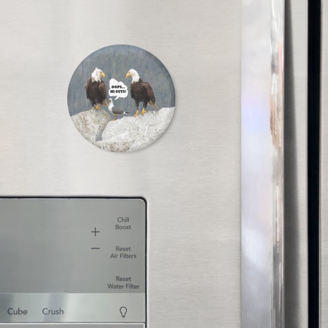 Funny Eagles und Seagull Round Magnet (In Situ (Kühlschrank))