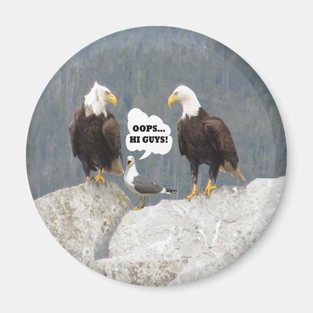 Funny Eagles und Seagull Round Magnet (Vorne)
