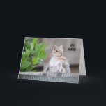 Funny Eichhörnchen Belated Birthday Dankeskarte<br><div class="desc">Die lustige verspätete Geburtstagskarte. Foto eines niedlichen Eichhörnchens und einer "oh Nuss!" Stimmung. Behalt den Text so,  wie er ist,  oder personalisiere ihn mit deinen eigenen!</div>