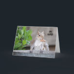 Funny Eichhörnchen Belated Birthday Dankeskarte<br><div class="desc">Die lustige verspätete Geburtstagskarte. Foto eines niedlichen Eichhörnchens und einer "oh Nuss!" Stimmung. Behalt den Text so,  wie er ist,  oder personalisiere ihn mit deinen eigenen!</div>