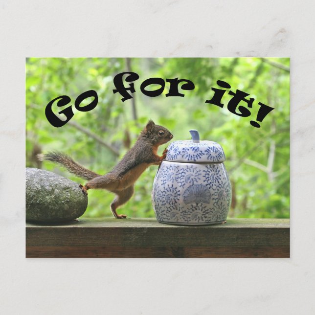Funny Eichhörnchen Bild ~ Go For It! Postkarte (Vorderseite)