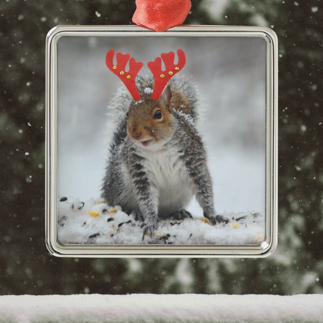 Funny Eichhörnchen mit Fake Antlers Christmas Name Ornament Aus Metall (Von Creator hochgeladen)