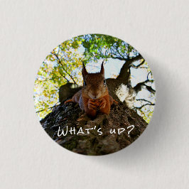 Funny Eichhörnchen Niedlicher Tiere Hallo da Button