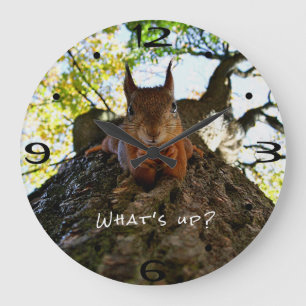 Funny Eichhörnchen Niedlicher Tiere Hallo da Große Wanduhr