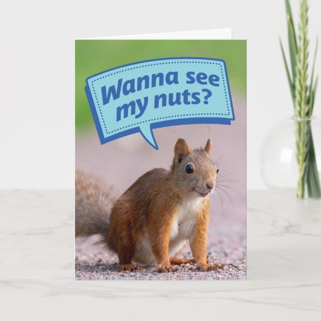 Funny Eichhörnchen - Willst du meine Nüsse sehen?  Karte (Vorderseite)