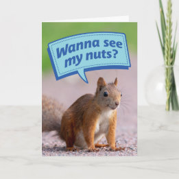 Funny Eichhörnchen - Willst du meine Nüsse sehen? Karte