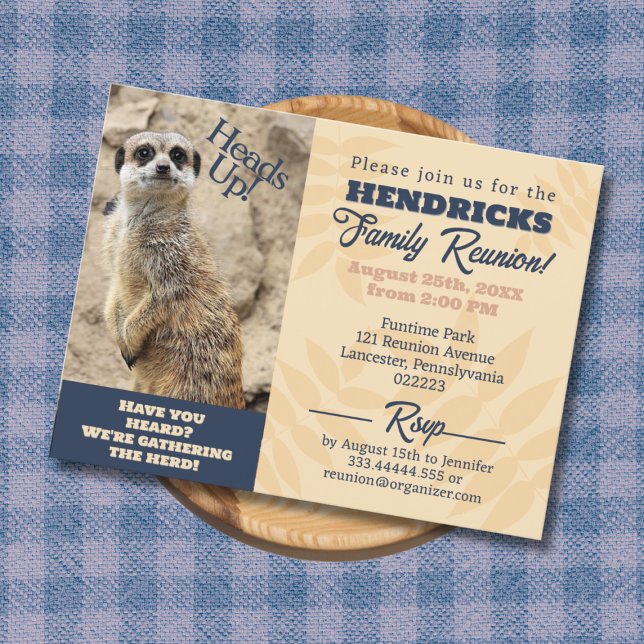 Funny, einzigartig Meerkat Family Wiedersehen Save Postkarte (Funny Family Reunion Invitation with Meerkat)