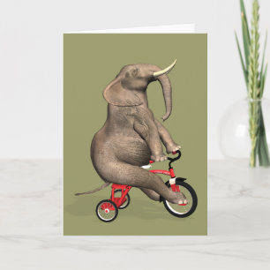 Funny Elephant Riding A Tricycle Karte