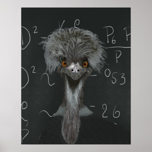 Funny Emu Einstein Poster (Vorne)