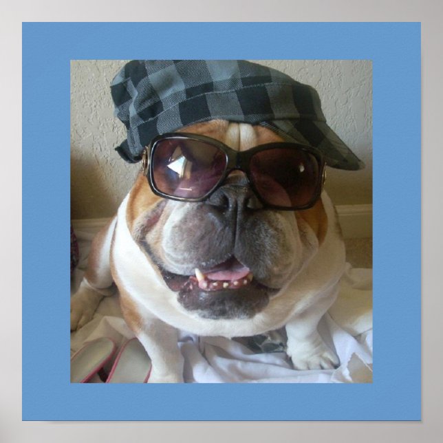 Funny English Bulldog Poster (Vorne)