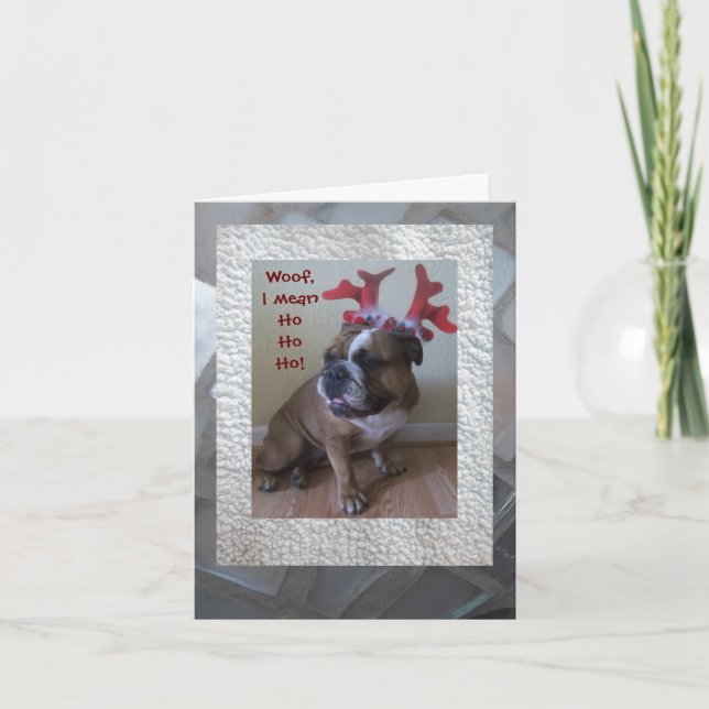 Funny English Bulldog Weihnachtskarte! Feiertagskarte (Vorderseite)