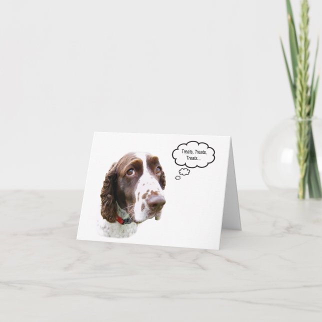 Funny English Springer Leckerei Card Karte (Vorderseite)