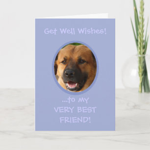 Funny erfreut sich von der hundemeigenen Fotokarte Karte