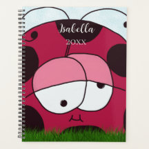 Funny et Chubby Ladybug
