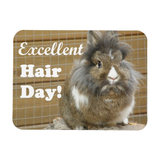 Funny "Excellence Hair Day" für Kaninchen Magnet (Horizontal)