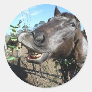 Funny Face braunes Pferd Runder Aufkleber
