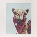 Funny Face Foto eines Sassy Niedlich Llama<br><div class="desc">Fotografie. Ein lustiges,  niedliches Foto eines versauten Lamas.</div>