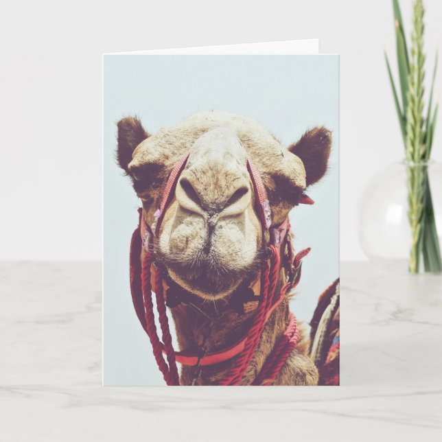 Funny Face Foto eines Sassy Niedlich Llama Karte (Vorderseite)