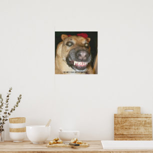 Funny Face GSD Hund nicht nach Mitternacht Gefütte Poster