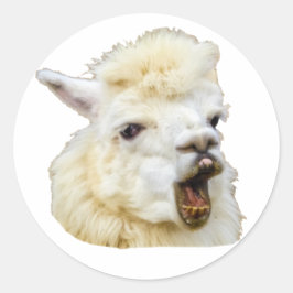 Funny face lachendes Alpaka Crazy Lama Zähne Runder Aufkleber