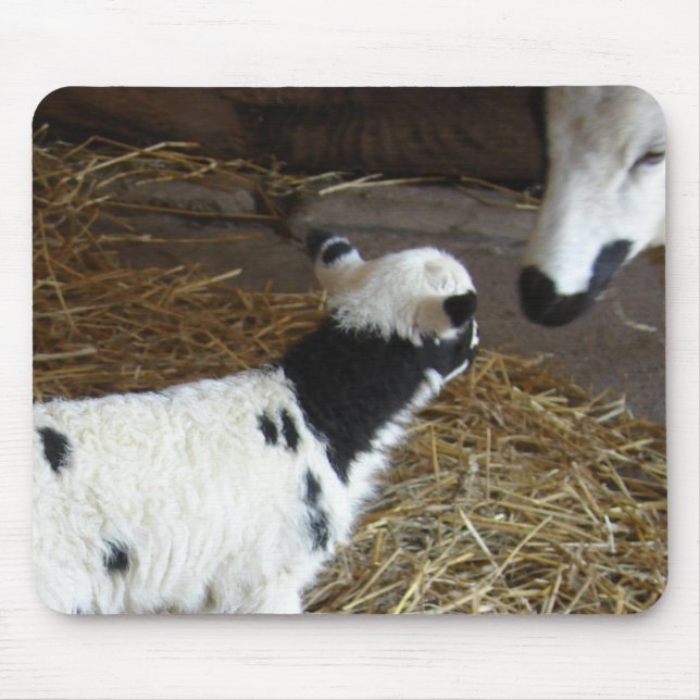 Funny Face's Lamb Mousepad (Vorne)