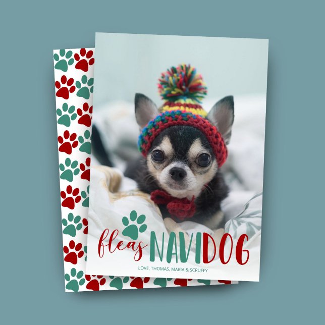 Funny Feliz Navidad Dog Foto Weihnachten (Von Creator hochgeladen)