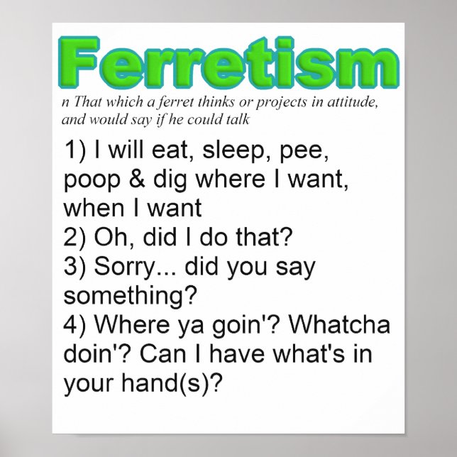 Funny Ferrets Poster (Vorne)