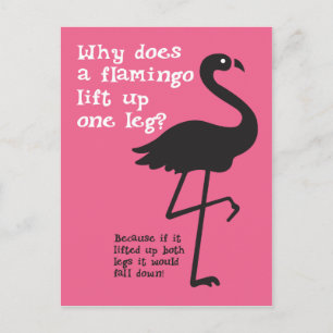 Funny Flamingo Riddle Postkarte