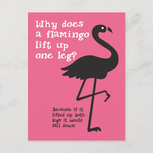 Funny Flamingo Riddle Postkarte (Vorderseite)