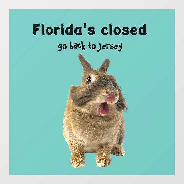 Funny Florida New Jersey Window Decal Fensteraufkleber (Blatt)