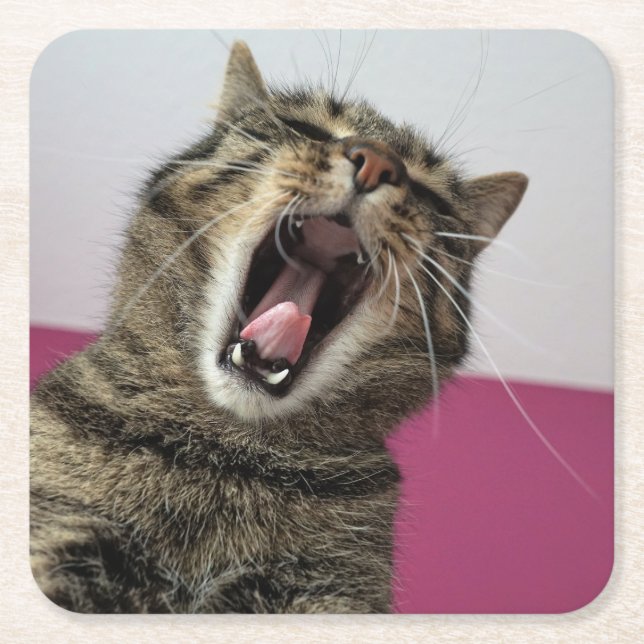 Funny Foto Cat Lover Rechteckiger Pappuntersetzer (Vorderseite)