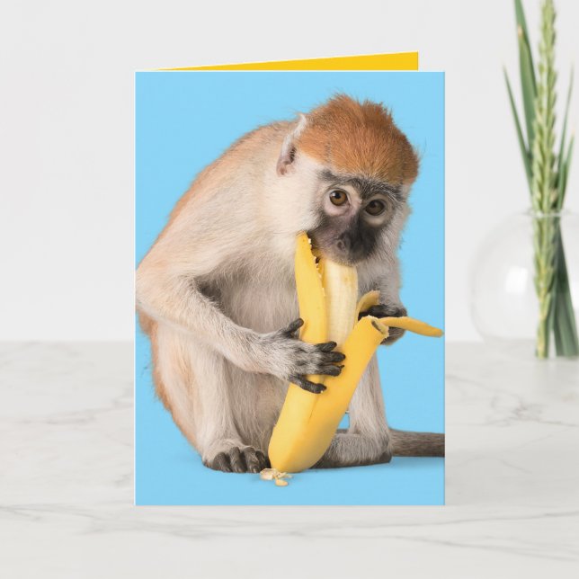 Funny Foto Ein Niedlicher Affe isst eine Banane Karte (Vorderseite)