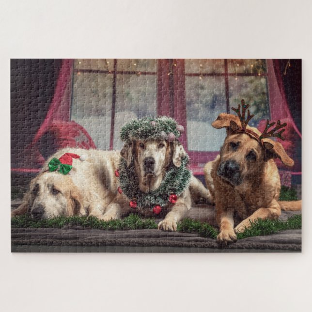 Funny Foto Hunde in Christmas Antlers and Headwear (Horizontal)