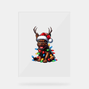 Funny French Bulldog Christmas Light Weihnachtsman Acrylschild