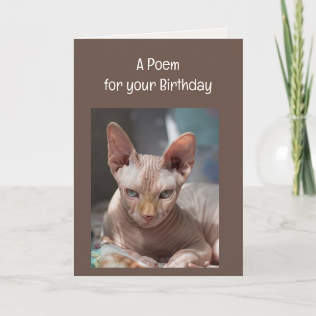 Funny Frinkles Old Age Over The Hill Cat Animal Karte (Vorderseite)