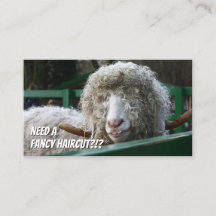 Funny Frisylist extravaganter neuer Friseurspezial