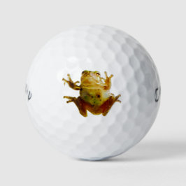 Funny Frog 4Frankie Golfball