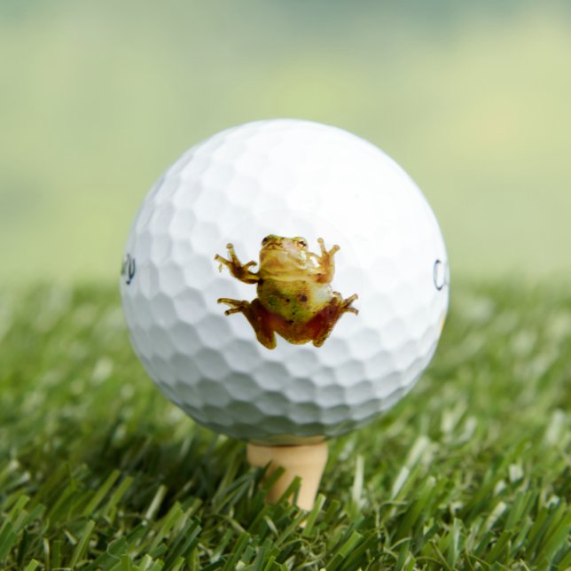 Funny Frog 4Frankie Golfball (Insitu T-Shirt)