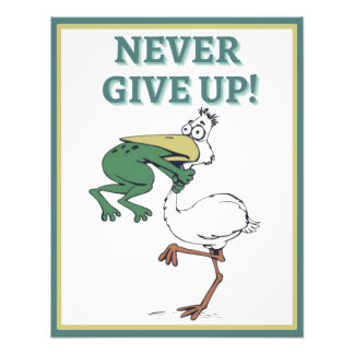 Funny Frog Choice Bird Inspiration Poster