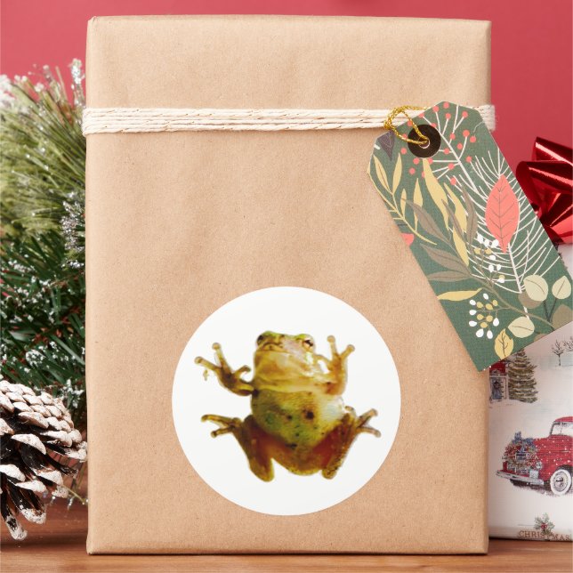 Funny Froggie Toad 4Fred Runder Aufkleber (Feiertag)