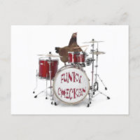 Funny Funky Chicken Postcard