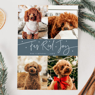 Funny Fur Real Jog Dog Foto Slate Blue Weihnachten